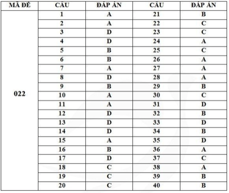 Gợi ý đáp án mã đề 022