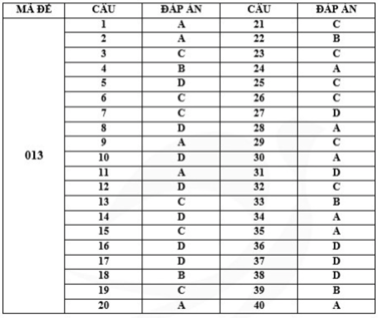 Gợi ý đáp án mã đề 013