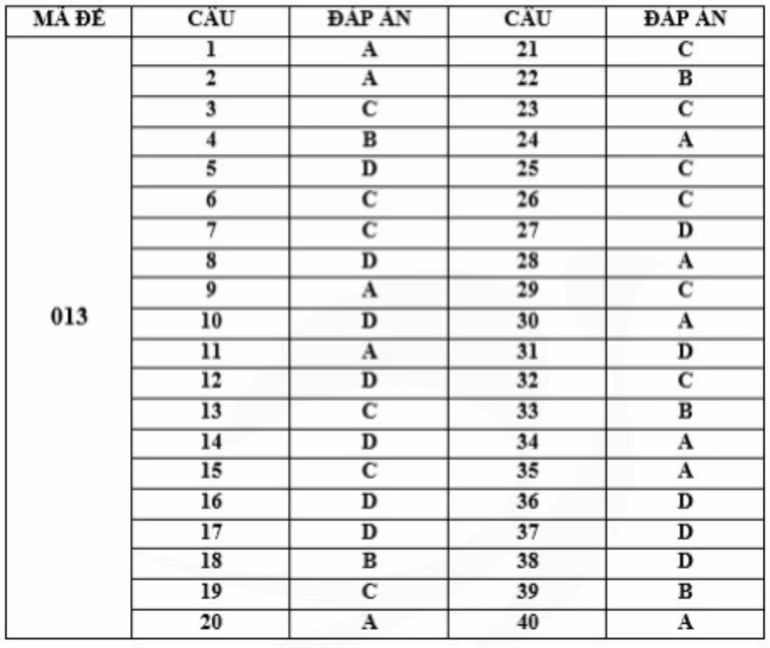 Gợi ý đáp án mã đề 013