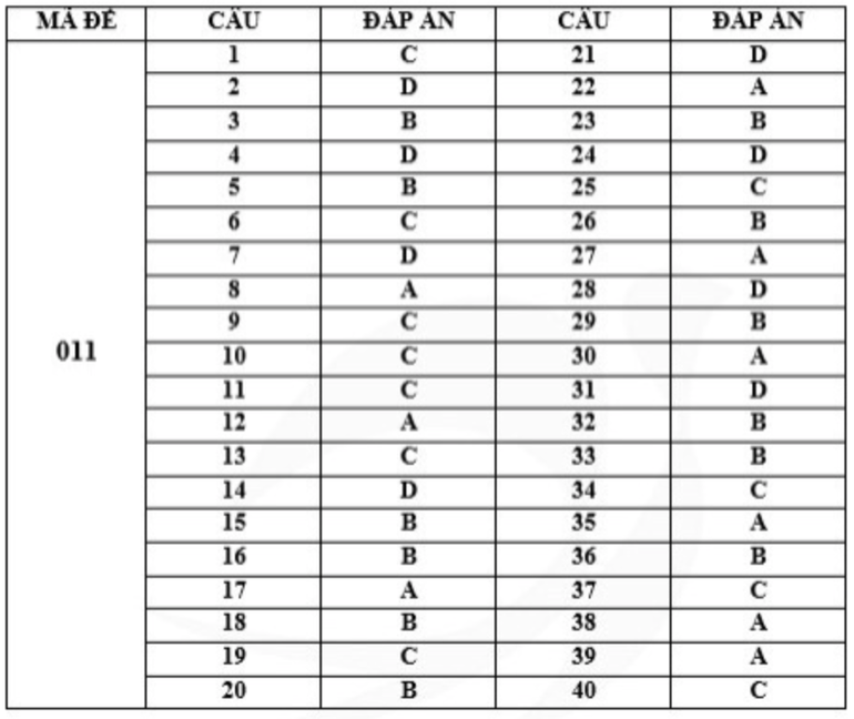 Gợi ý đáp án mã đề 011