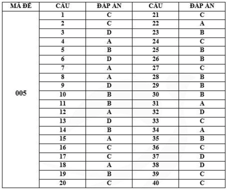 Gợi ý đáp án mã đề 005