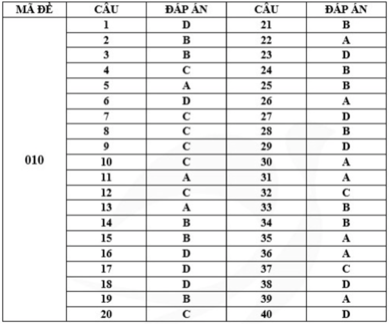 Gợi ý đáp án mã đề 010