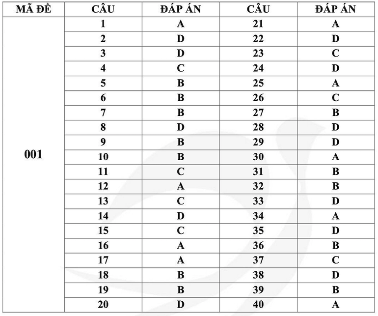 Gợi ý đáp án mã đề 001