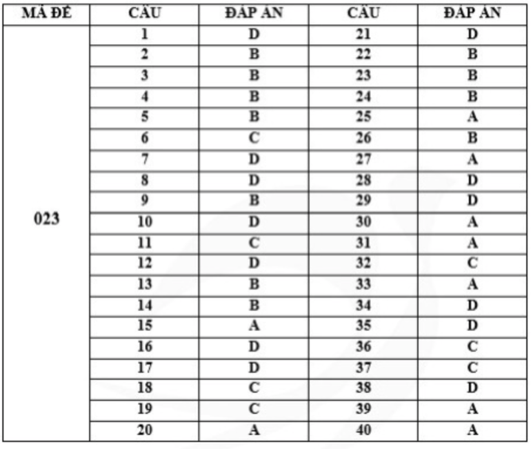 Gợi ý đáp án mã đề 023