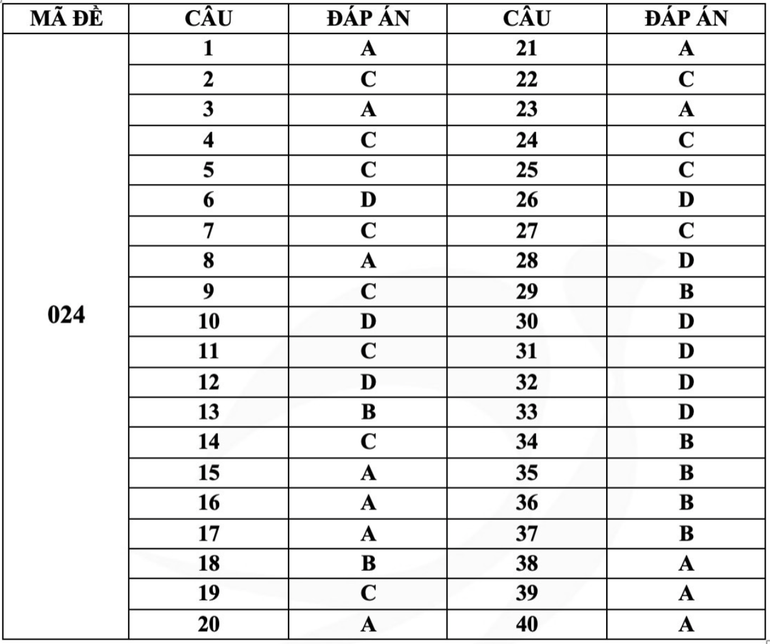 Gợi ý đáp án mã đề 024