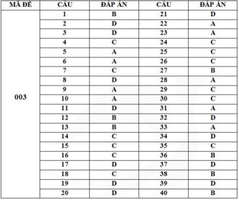 Gợi ý đáp án mã đề 003