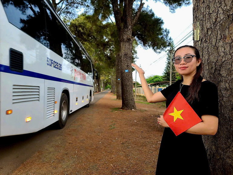 [Ảnh] Hàng thông trăm tuổi – một điểm đến hấp dẫn du khách tại Gia Lai ảnh 6