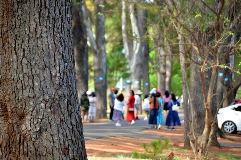 Du khách thập phương thích thú trải nghiệm chụp ảnh