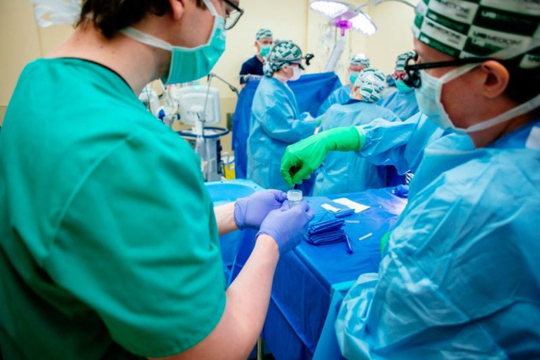 Thu thập mẫu sinh thiết thận khi ghép thận lợn vào cơ thể hiến tặng. Ảnh: AP