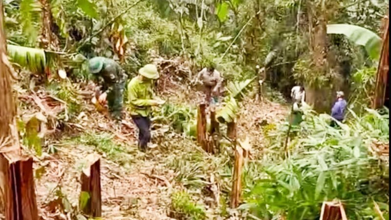 Các lực lượng huyện Định Hóa phát đường băng, khoanh vùng khống chế đám cháy rừng.