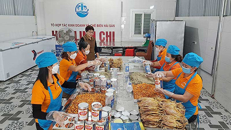 Dây chuyền sản xuất của Hợp tác xã Chế biến và kinh doanh hải sản Hoa Linh Chi (huyện Nghi Xuân, tỉnh Hà Tĩnh). (Ảnh HŨU TRUNG)