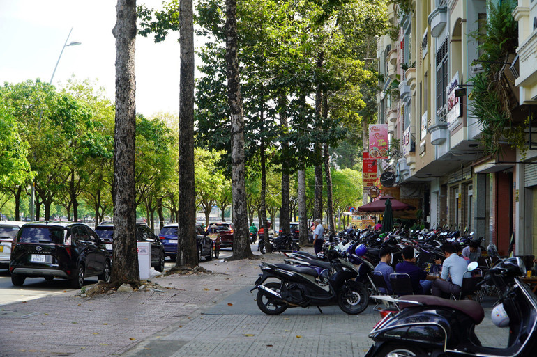 Quy định thu phí sử dụng tạm thời lòng đường, hè phố trên địa bàn Thành phố Hồ Chí Minh chính thức áp dụng từ ngày 1/1/2024.