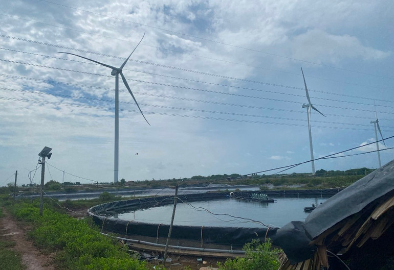 Dự án góp phần giải quyết vấn đề rác thải nhựa từ việc nuôi trồng thủy sản.