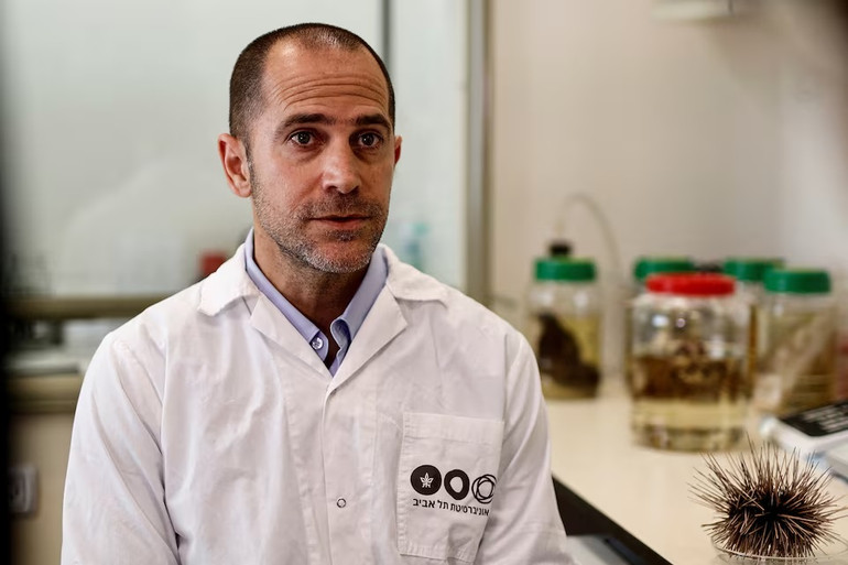 Tiến sĩ Omri Bronstein, Bảo tàng Lịch sử Tự nhiên và Trường Động vật học Steinhardt, Đại học Tel Aviv, Israel. Ảnh: Reuters