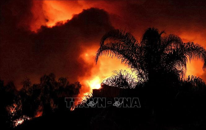 Ảnh minh họa (Nguồn: THX/TTXVN)