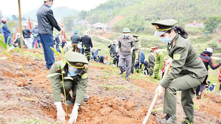 Cán bộ kiểm lâm tỉnh Yên Bái tham gia trồng rừng tại huyện Yên Bình.