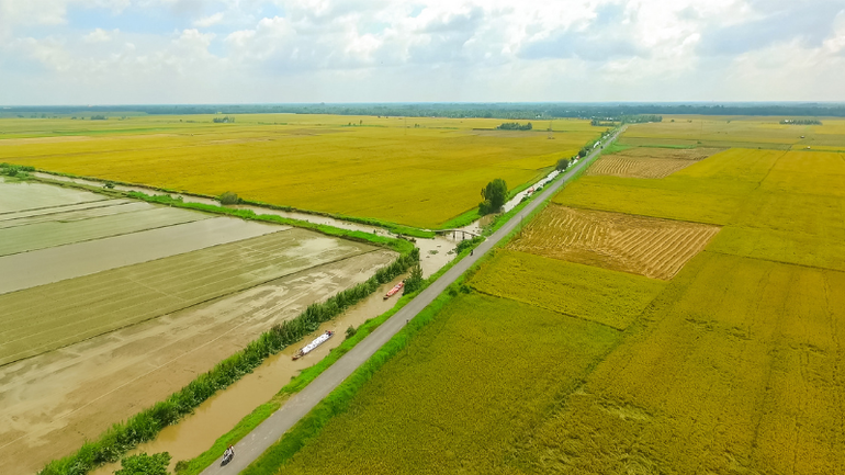 Hệ thống thủy nông nội đồng được tăng cường để phục vụ cho vùng chuyên canh lúa.