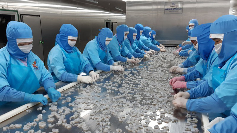 Lao động ngành thủy sản. (Ảnh: Bình An)