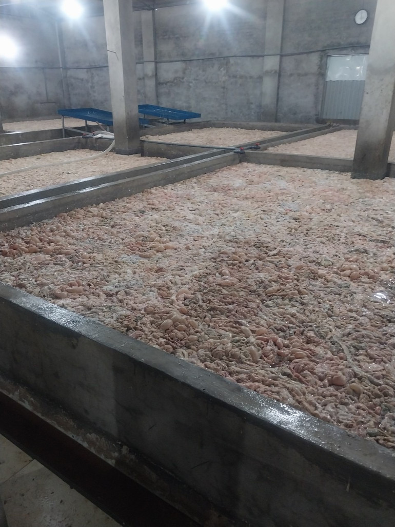 Hiện trường khi lực lượng chức năng kiểm tra.