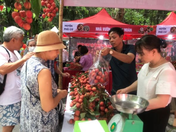 Phiên chợ vải Hưng Yên năm 2023.