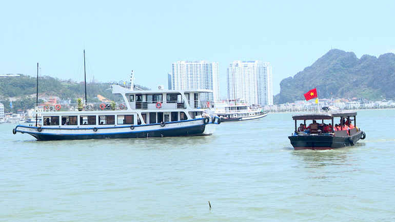 Hoạt động đưa khách du lịch tham quan Vịnh Hạ Long đã trở lại bình thường sau bão số 3.
