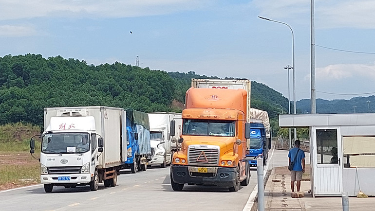 Hàng hóa thông quan qua các Cửa khẩu, lối mở trên địa bàn thành phố Móng Cái, Quảng Ninh.