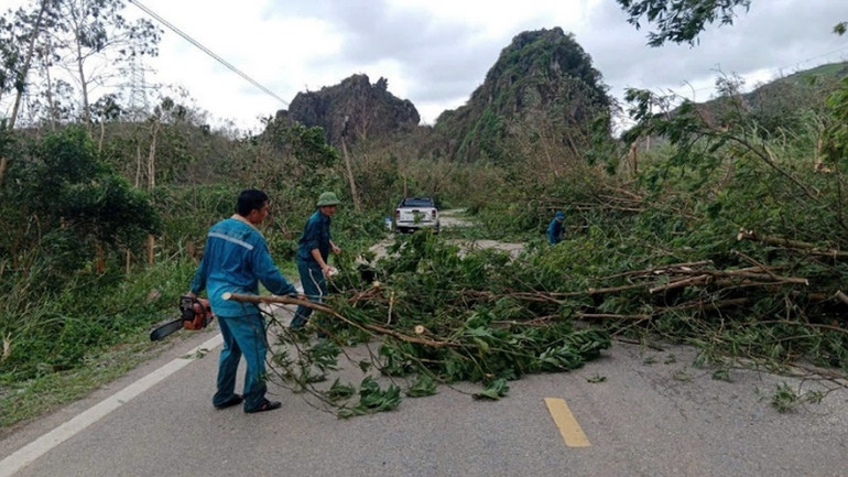 Công nhân Công ty Môi trường đô thị khẩn trương xử lý các cây đổ, bảo đảm giao thông cho người dân và các phương tiện.