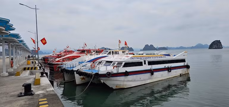 Từ 12 giờ ngày 22/7, Quảng Ninh tạm dừng cấp phép cho các phương tiện thủy ra khơi.