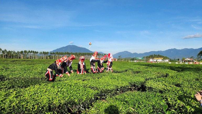Những đồi chè xanh mướt luôn là điểm check-in của đông đảo du khách.