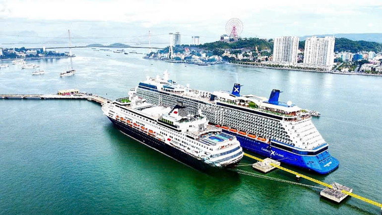 Tàu biển quốc tế đưa khách du lịch đến tham quan Vịnh Hạ Long.