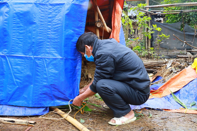 Người dân chủ động che chắn chuồng trại tránh rét cho đàn vật nuôi của gia đình.