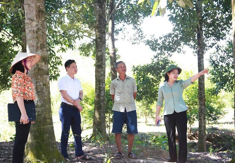 Đại biểu Quốc hội tỉnh Quảng Ninh Đỗ Thị Lan khảo sát việc thực hiện 3 Chương trình mục tiêu quốc gia tại huyện Tiên Yên.