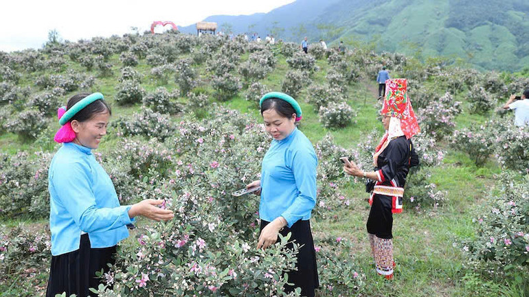 Trải nghiệm cảnh đẹp ngọn núi Panai, Mã Thàu Sơn.