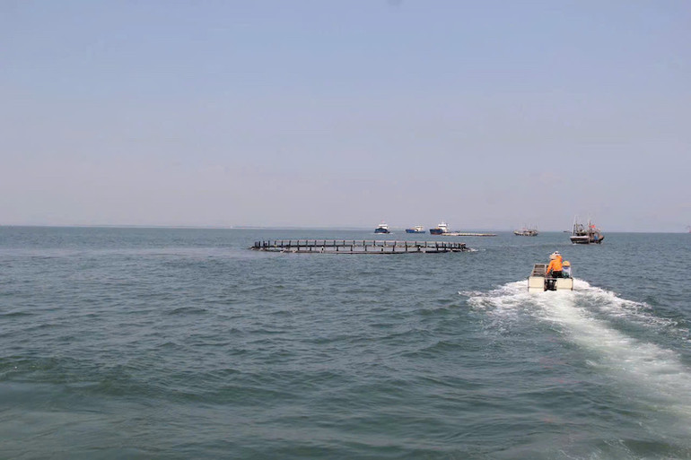 Khu vực bàn giao lồng nuôi trồng thủy sản tại điểm thứ nhất của đường phân định lãnh hải trong Vịnh Bắc Bộ.