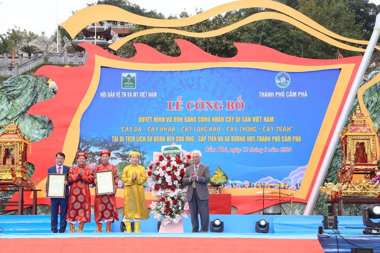 Trao Quyết định và Bằng công nhận Cây di sản Việt Nam cho các cây tại Khu di tích lịch sử quốc gia đặc biệt Đền Cửa Ông-Cặp Tiên.
