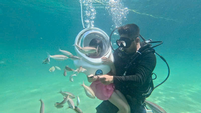 Môi trường biển của Cô Tô xanh, sạch với nhiều loại hải sản và động vật biển quý hiếm.