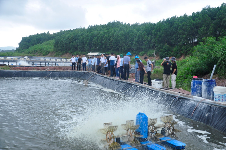 Các đại biểu tham quan mô hình nuôi tôm công nghiệp của ông Hà Văn Hào ở xã Cộng Hòa, thành phố Cẩm Phả. Các đại biểu tham quan mô hình nuôi tôm công nghiệp của ông Hà Văn Hào ở xã Cộng Hòa, thành phố Cẩm Phả.