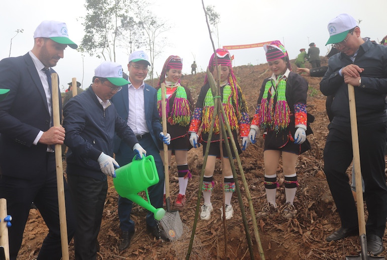 Các đại biểu và nhân dân tham gia trồng cây tại xã Quảng Lâm, huyện Đầm Hà.