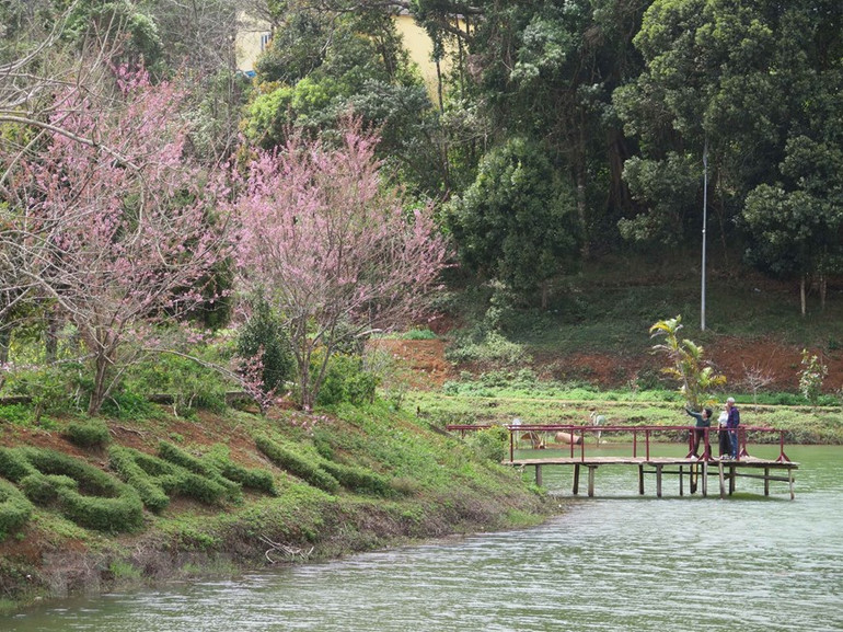Du khách ngắm hoa tại hồ Đăk Ke Du khách ngắm hoa tại hồ Đăk Ke