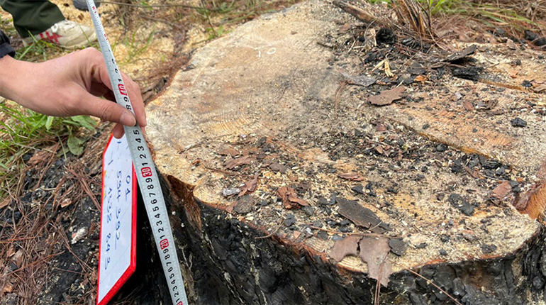 Cơ quan chức năng khám nghiệm hiện trường.