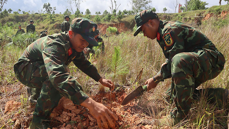 Học viên, chiến sĩ tham gia trồng cây.