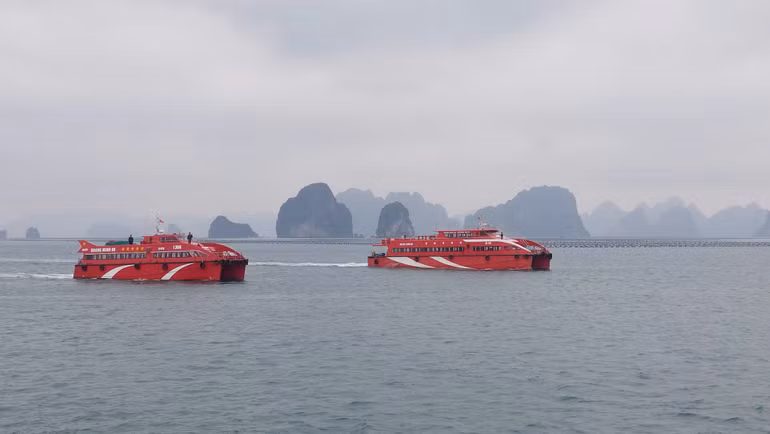 Các hành trình tham quan du lịch trên vịnh Bái Tử Long kỳ vọng mở ra không gian phát triển mới, thu hút nhiều khách du lịch.
