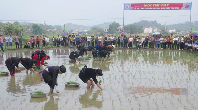 Nông dân địa phương dự hội thi cấy lúa.