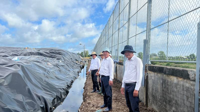 Tường rào, lưới B40 cũng được gia cố để tránh rác bay ra bên ngoài.