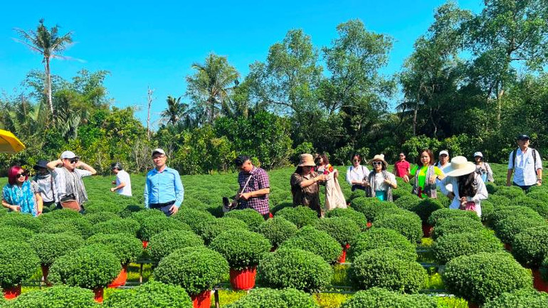 Vùng sản xuất hoa, cây kiểng huyện Chợ Lách (tỉnh Bến Tre) đang được mời gọi đầu tư phát triển du lịch.