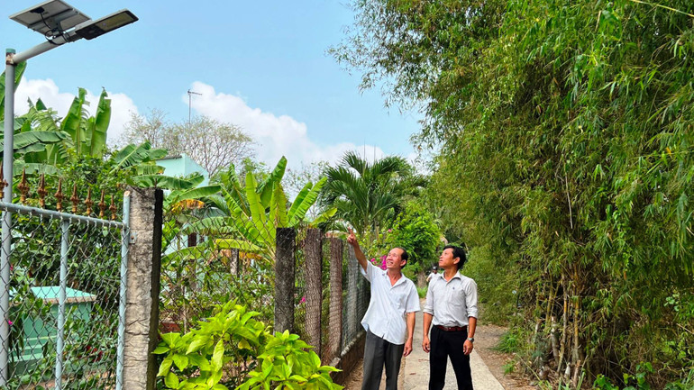 Đường giao thông nông thôn ở xã An Hiệp được lắp đèn chiếu sáng năng lượng mặt trời.