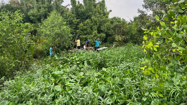 Lục bình, cỏ dại mọc đầy sông Rạch Mít gây tắc dòng chảy, ô nhiễm môi trường.