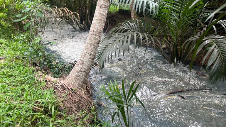 Nước ở các mương vườn của người dân bị ô nhiễm nặng.