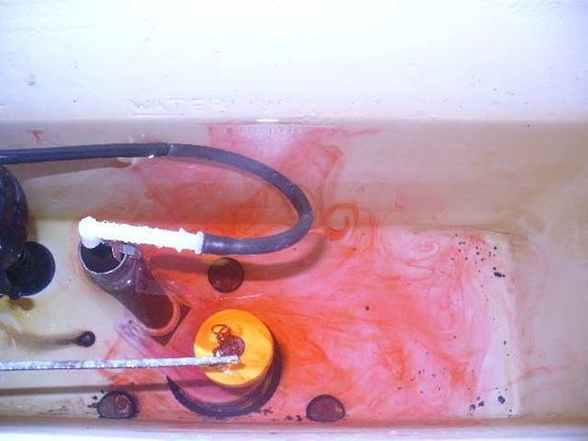 Đánh dấu mực nước và cho vài giọt màu vào trong két nước.