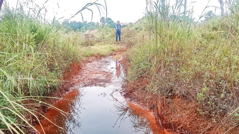 Nước thải màu vàng được cho là từ Nhà máy cột thép mạ kẽm Thái Nguyên chảy đến đâu cây cỏ chết đến đấy.